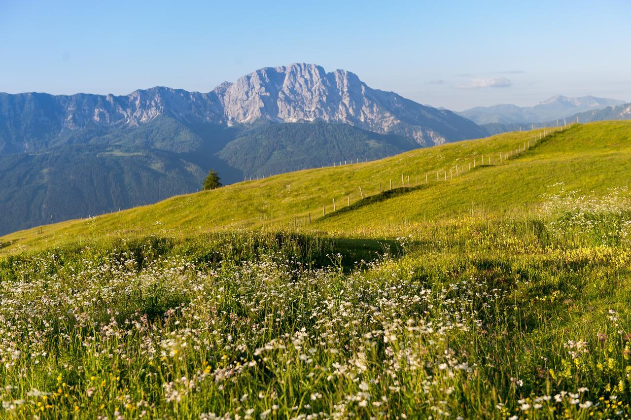 Hotel Sattleggers Alpenhof & Feriensternwarte Greifenburg Esterno foto