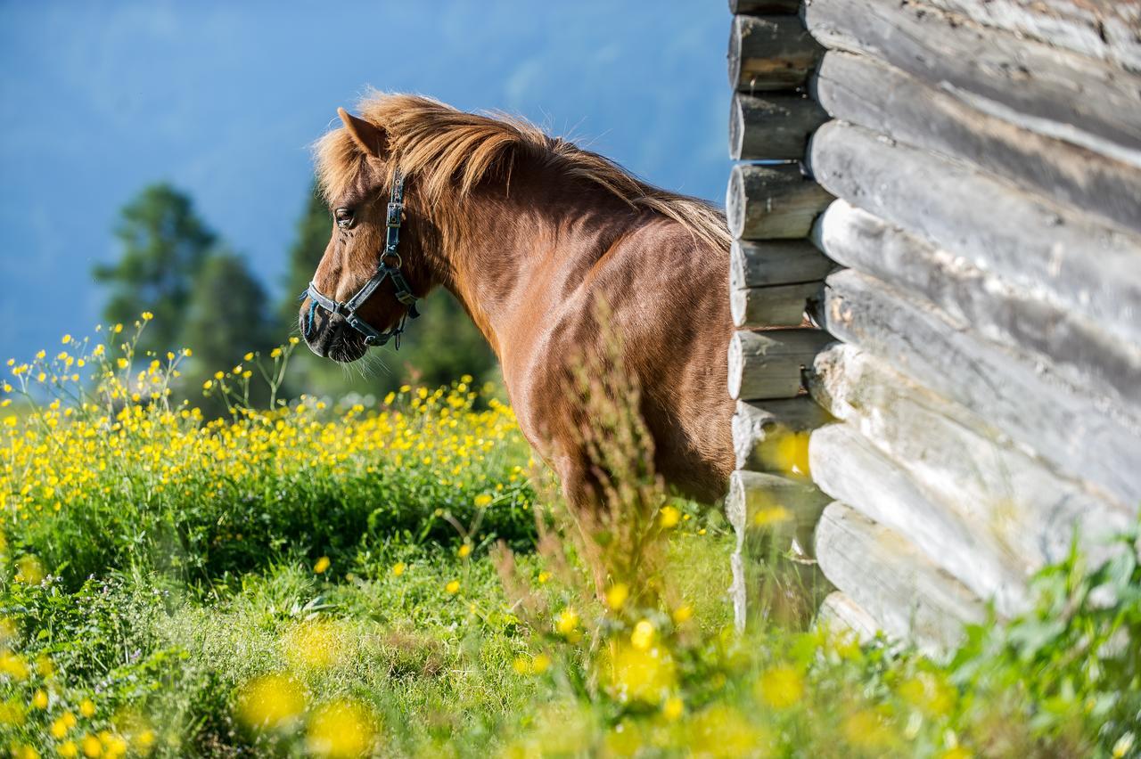 Hotel Sattleggers Alpenhof & Feriensternwarte Greifenburg Esterno foto
