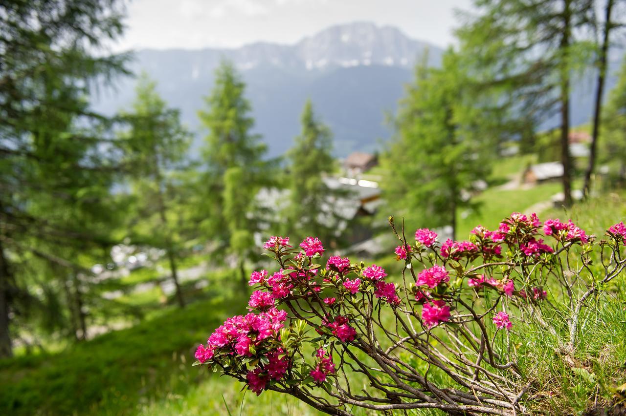 Hotel Sattleggers Alpenhof & Feriensternwarte Greifenburg Esterno foto