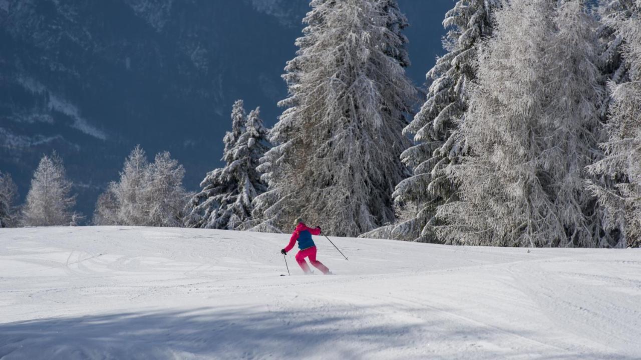Hotel Sattleggers Alpenhof & Feriensternwarte Greifenburg Esterno foto